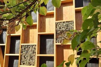 Hout Bois van Steenberge Lignia Tuinhuis 2