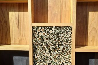 Hout Bois van Steenberge Lignia Tuinhuis 4